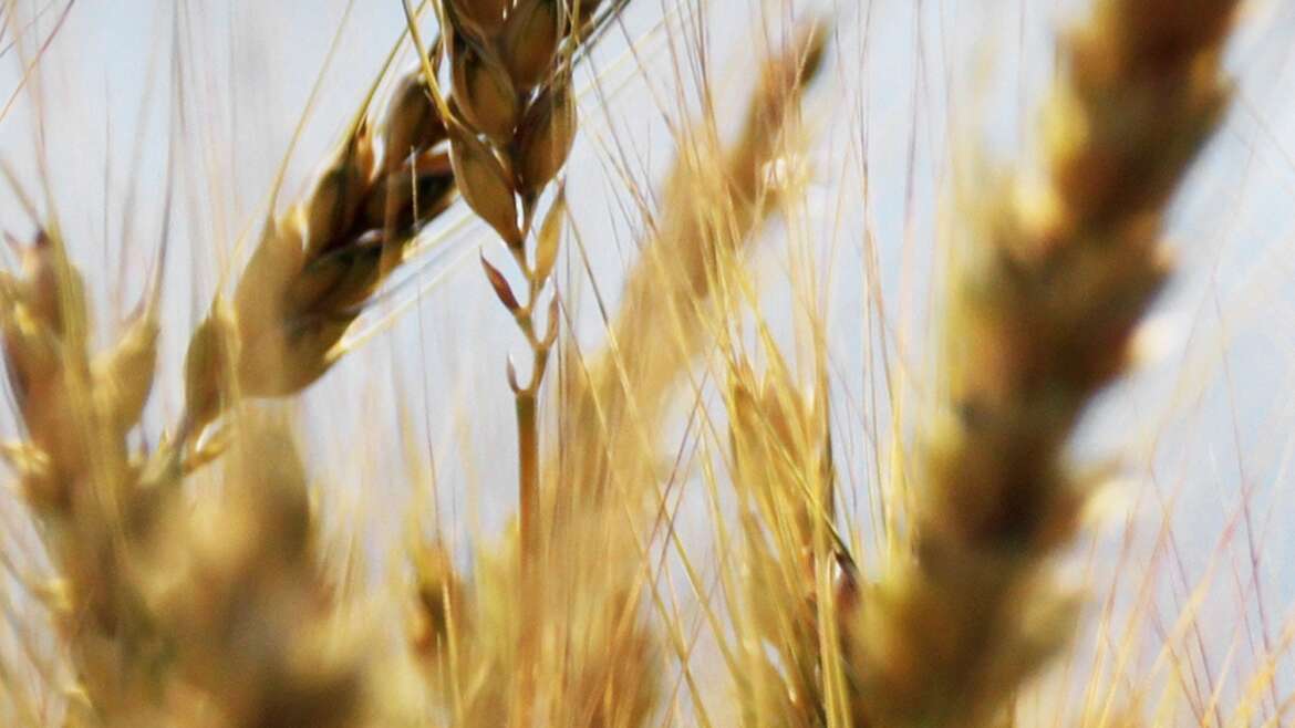 Mut ist Angst, die gebetet hat